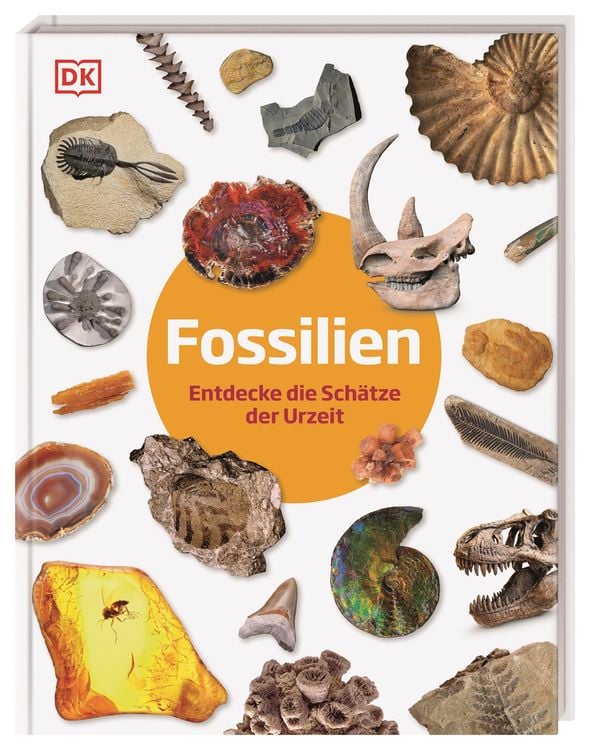Bild vom Artikel Fossilien vom Autor Dean Lomax