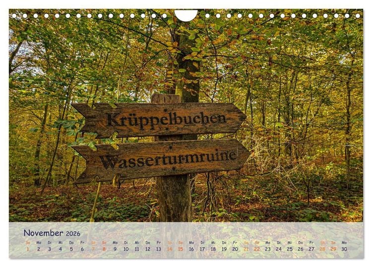Produktbild: R&uuml;genliebe (Wandkalender 2026 DIN A4 quer), CALVENDO Monatskalender