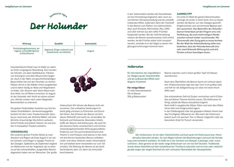 Produktbild: Die gro&szlig;e Waldapotheke