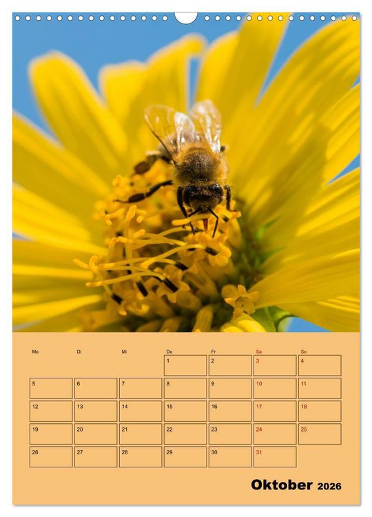 Produktbild: Die Biene und die Farbe gelb (Wandkalender 2026 DIN A3 hoch), CALVENDO Monatskalender