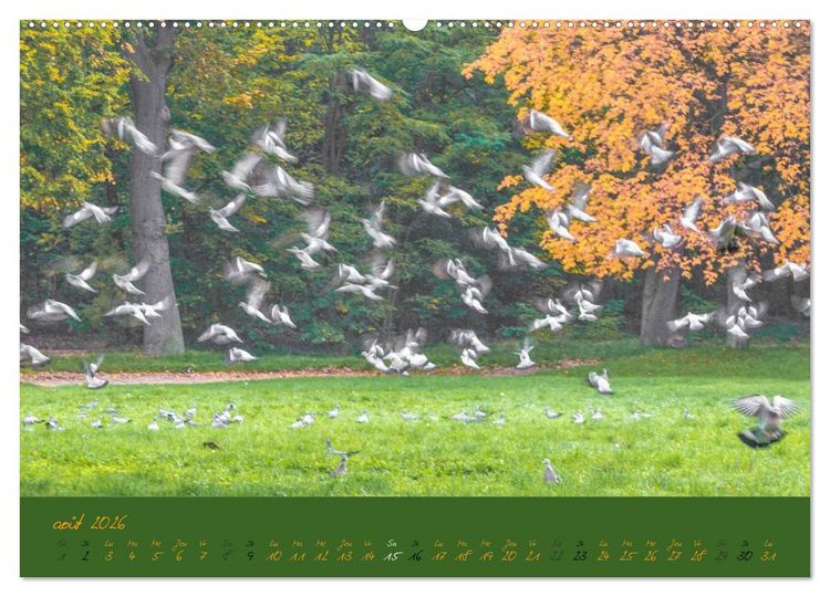 Produktbild: Un automne au Bois (Calendrier mural 2026 DIN A2 vertical) calendrier de bureau