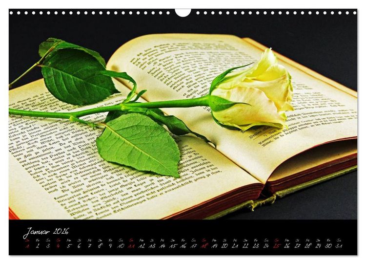 Produktbild: Flower (Wandkalender 2026 DIN A3 quer), CALVENDO Monatskalender
