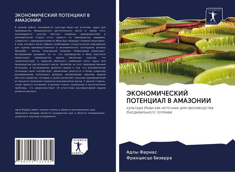Produktbild: JeKONOMIChESKIJ POTENCIAL V AMAZONII
