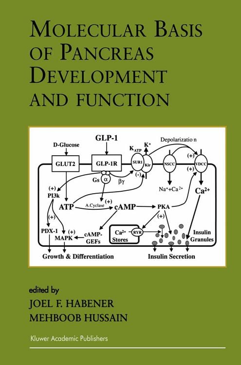 Produktbild: Molecular Basis of Pancreas Development and Function