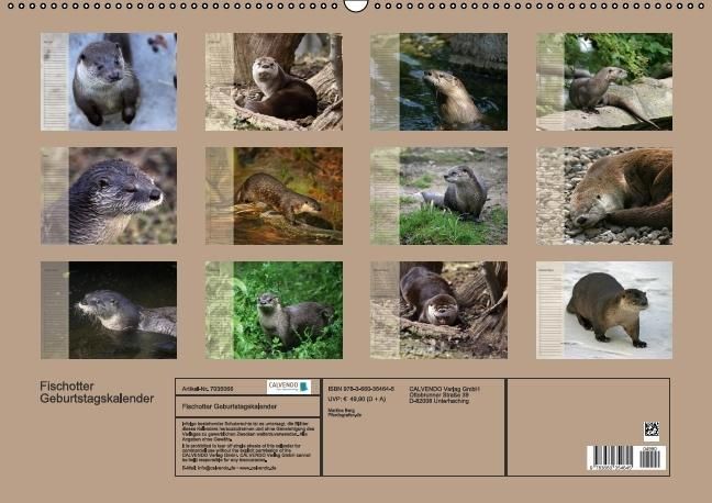 Produktbild: Fischotter Geburtstagskalender (Wandkalender immerw&auml;hrend DIN A2 quer)