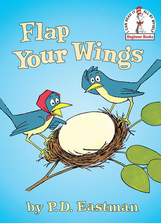 Produktbild: Flap Your Wings