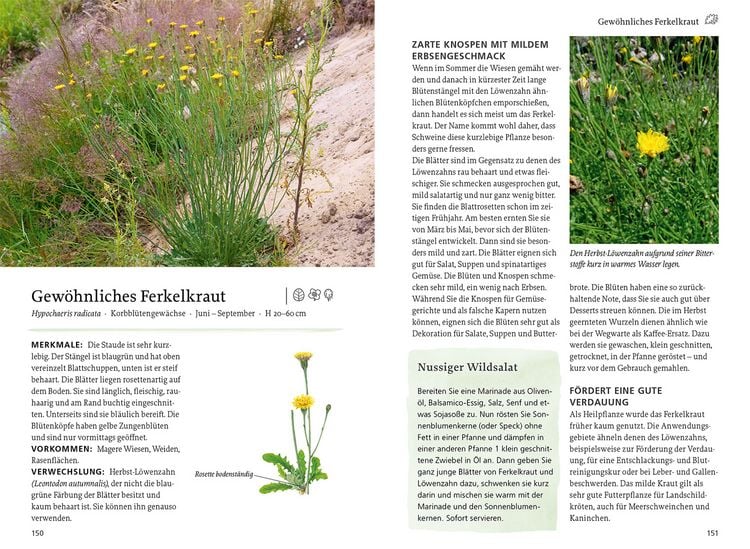 Produktbild: Unsere essbaren Wildpflanzen
