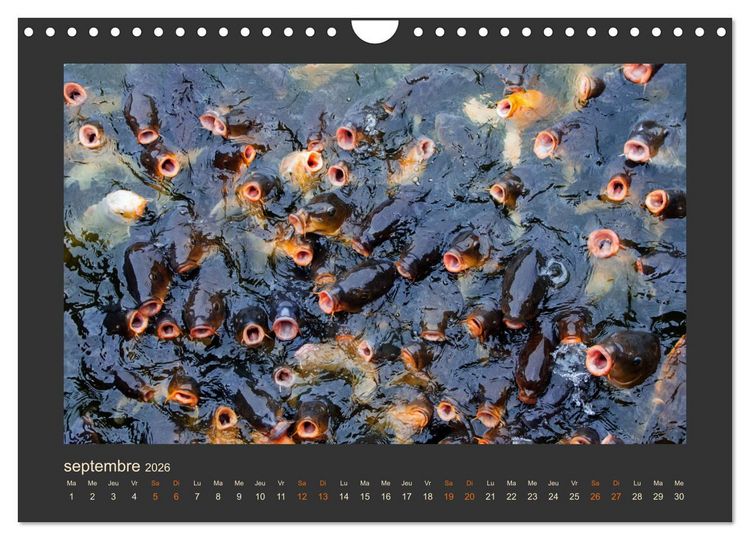 Produktbild: Japon, le pays fascinant et subtil (Calendrier mural 2026 DIN A4 vertical), CALVENDO calendrier mensuel
