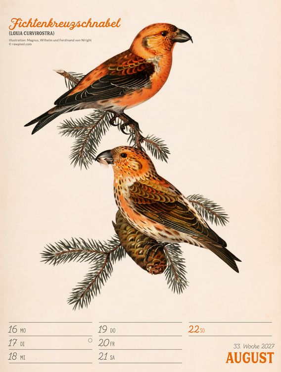 Produktbild: Wunderbare Vogelwelt Wochenplaner Kalender 2027