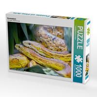 Produktbild: CALVENDO Puzzle Kornnattern 1000 Teile Lege-Gr&ouml;&szlig;e 64 x 48 cm Foto-Puzzle Bild von Liselotte Brunner-Klaus