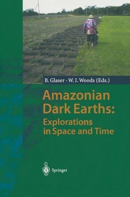 Produktbild: Amazonian Dark Earths: Explorations in Space and Time