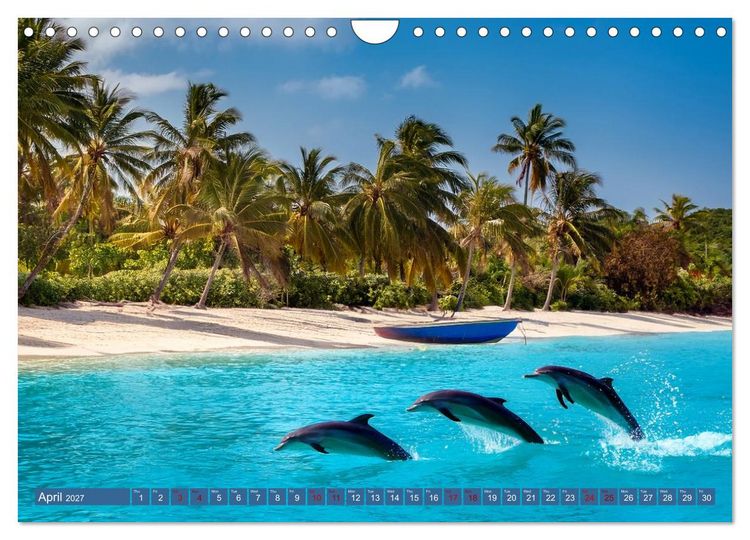 Produktbild: When Dolphins Dance with Us (Wall Calendar 2027 DIN A4 landscape), CALVENDO 12 Month Wall Calendar