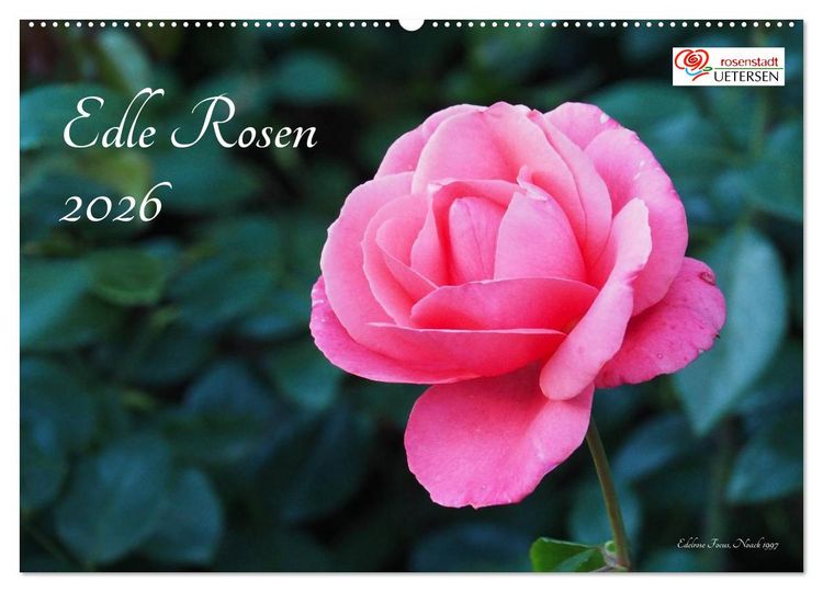Produktbild: Edle Rosen (Wandkalender 2026 DIN A2 quer), CALVENDO Monatskalender
