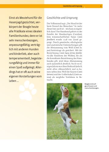 Produktbild: Beagle