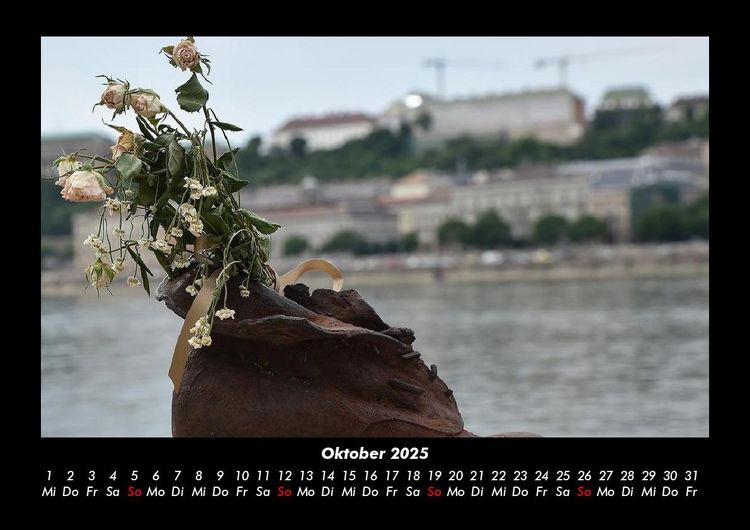 Produktbild: Blumenkalender 2025 Fotokalender DIN A3