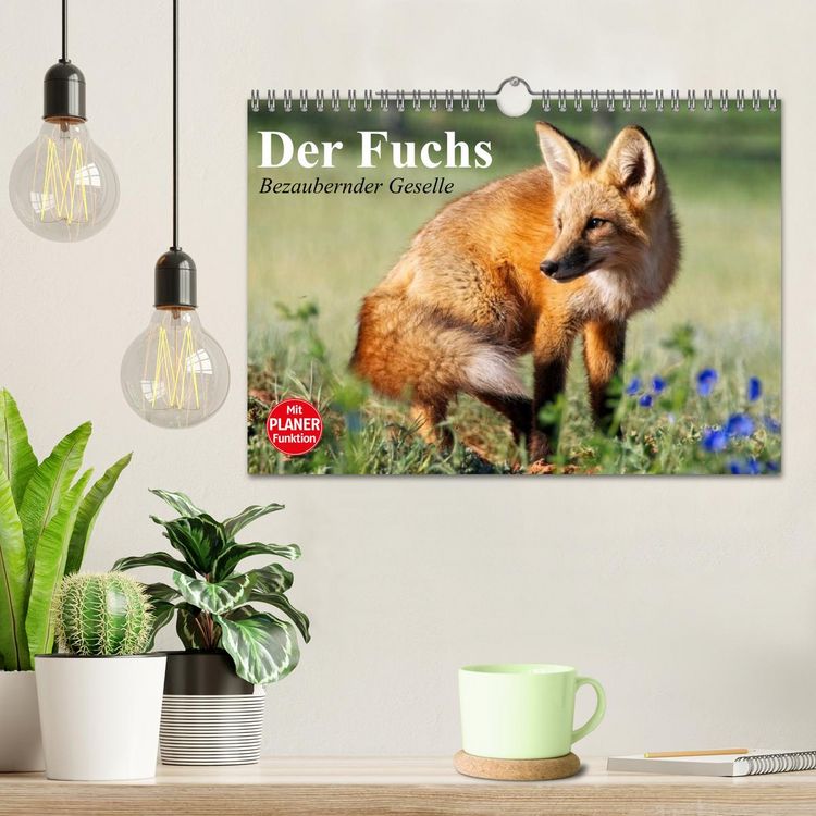 Produktbild: Der Fuchs. Bezaubernder Geselle (Wandkalender 2026 DIN A4 quer), CALVENDO Monatskalender