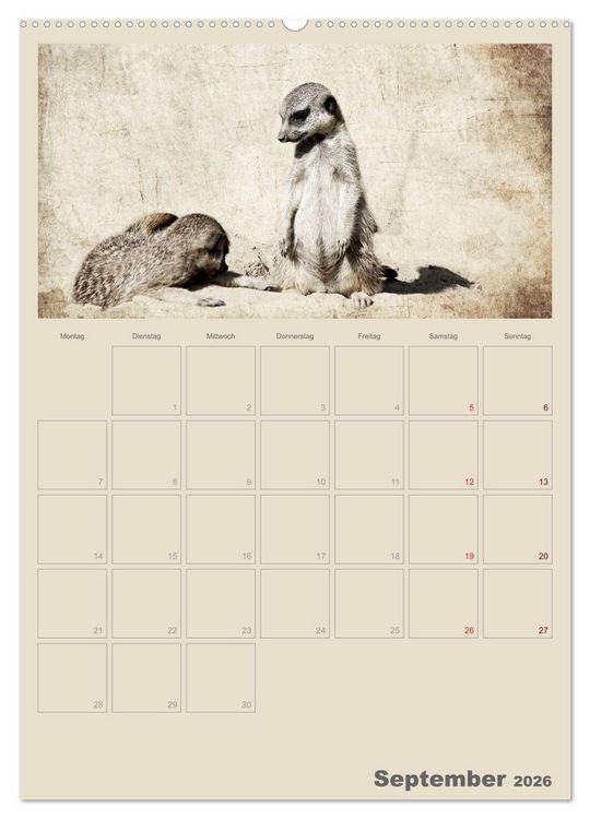 Produktbild: Lustige Erdm&auml;nnchen (Wandkalender 2026 DIN A2 hoch), CALVENDO Monatskalender
