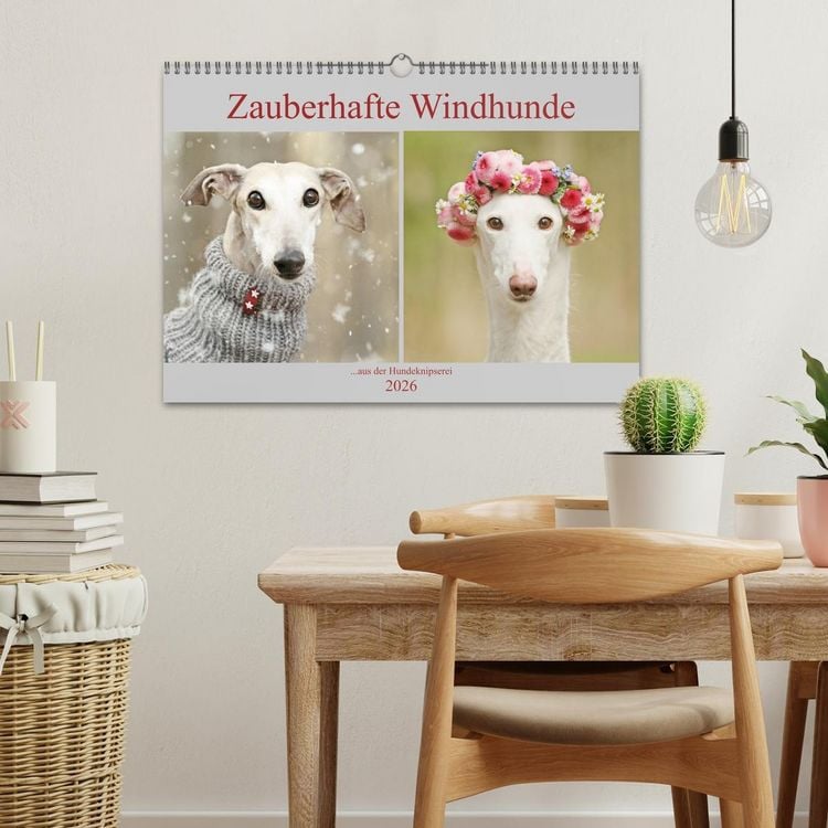 Produktbild: Zauberhafte Windhunde (Wandkalender 2026 DIN A3 quer), CALVENDO Monatskalender