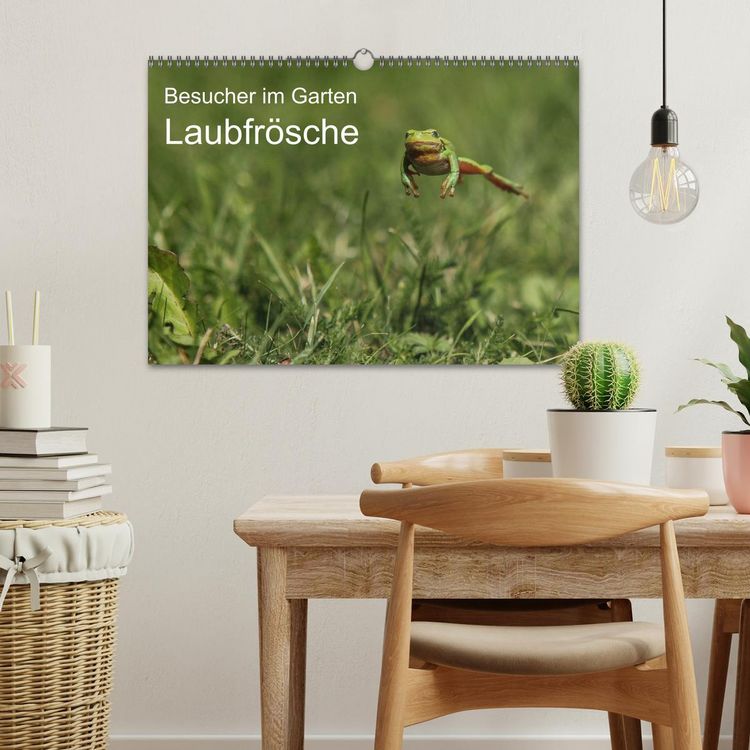 Produktbild: Besucher im Garten - Laubfr&ouml;sche (Wandkalender 2026 DIN A3 quer), CALVENDO Monatskalender