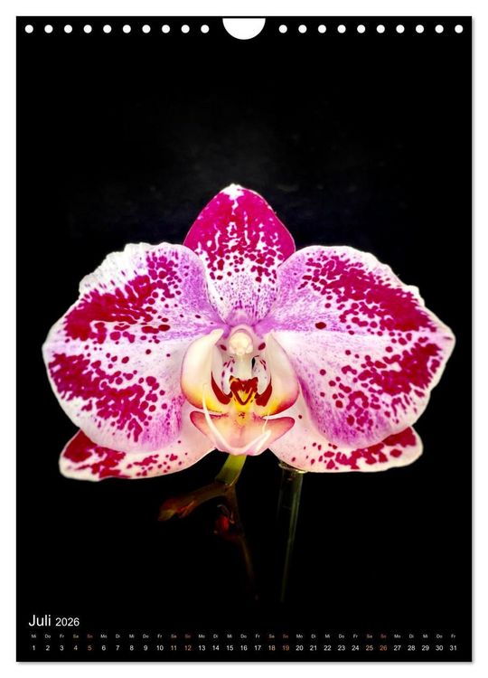 Produktbild: Orchideen - Exoten im Wohnzimmer (Wandkalender 2026 DIN A4 hoch), CALVENDO Monatskalender