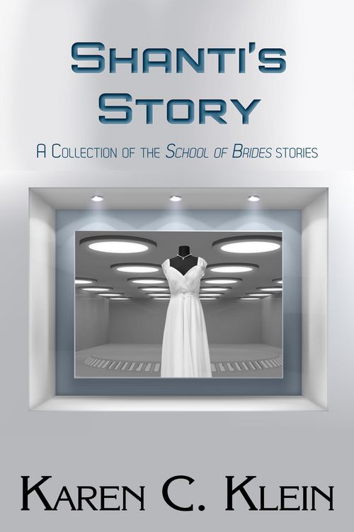 Produktbild: Shanti's Story: A Collection of the School of Brides Stories