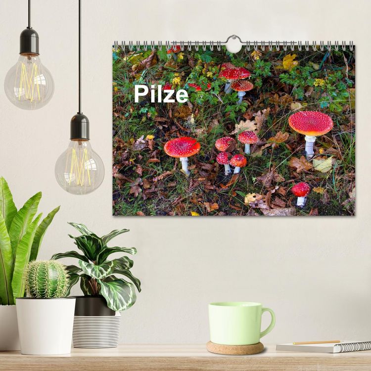 Produktbild: Pilze (Wandkalender 2026 DIN A4 quer), CALVENDO Monatskalender