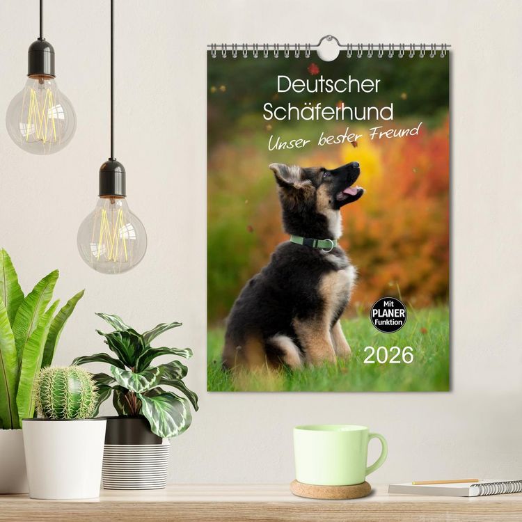 Produktbild: Deutscher Sch&auml;ferhund - unser bester Freund (Wandkalender 2026 DIN A4 hoch), CALVENDO Monatskalender