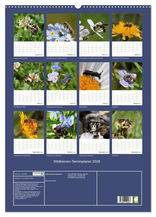 Produktbild: Wildbienen-Terminplaner 2026 (Wandkalender 2026 DIN A2 hoch), CALVENDO Monatskalender
