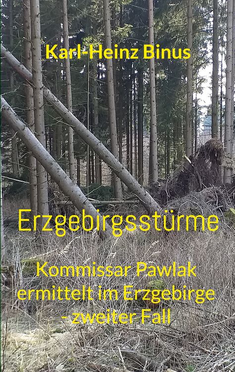 Bild vom Artikel Erzgebirgsstürme vom Autor Karl-Heinz Binus