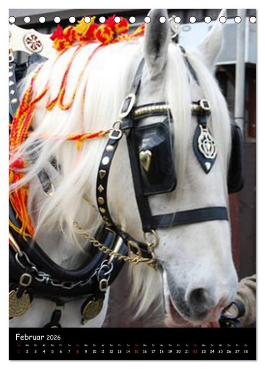 Produktbild: Shire Horse - Geschm&uuml;ckte Riesen (Tischkalender 2026 DIN A5 hoch), CALVENDO Monatskalender
