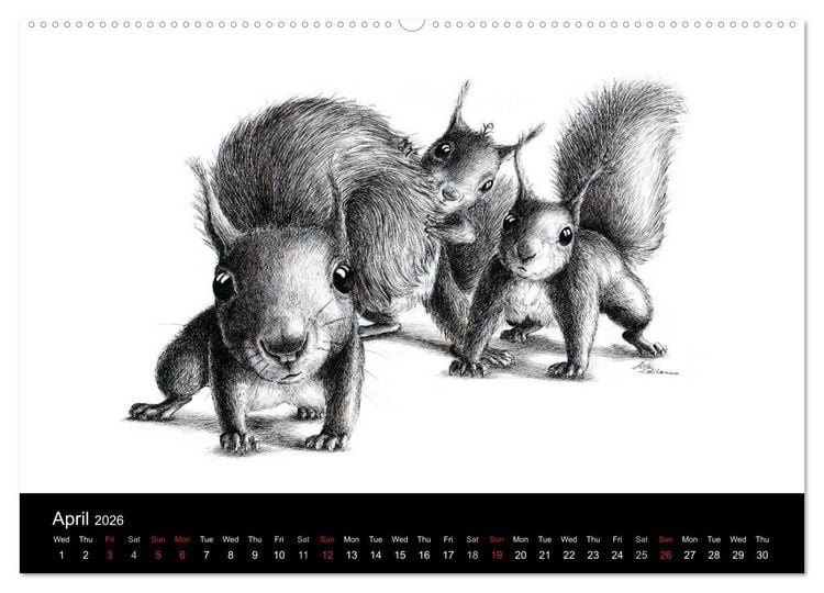 Produktbild: owls & friends 2026 (High Quality Premium Wall Calendar 2026 DIN A2 landscape),CALVENDO 12 Month Wall Calendar