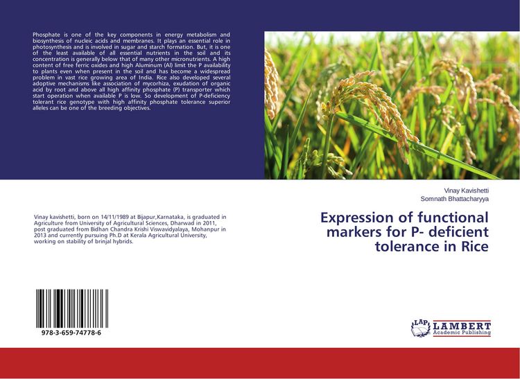 Produktbild: Expression of functional markers for P- deficient tolerance in Rice