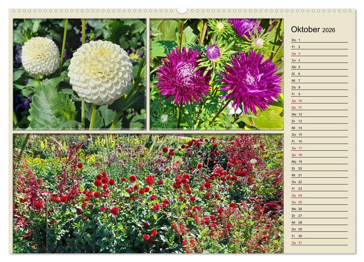 Produktbild: Bl&uuml;hende Gartenparks in Mannheim (hochwertiger Premium Wandkalender 2026 DIN A2 quer), Kunstdruck in Hochglanz