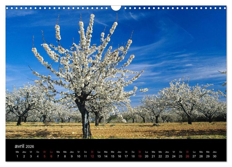 Produktbild: Paysages de Provence (Calendrier mural 2026 DIN A3 vertical), CALVENDO calendrier mensuel