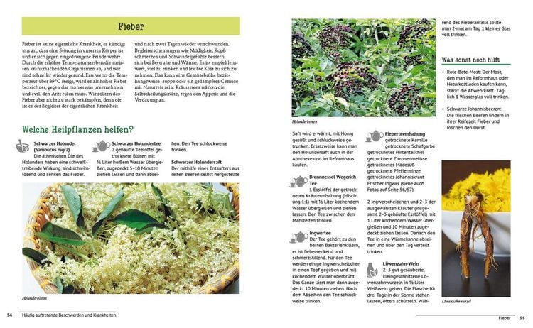 Produktbild: Die Natur-Apotheke