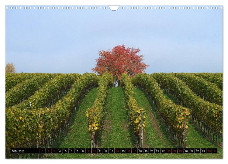Produktbild: Sehenswerter Bodensee (Wandkalender 2026 DIN A3 quer), CALVENDO Monatskalender
