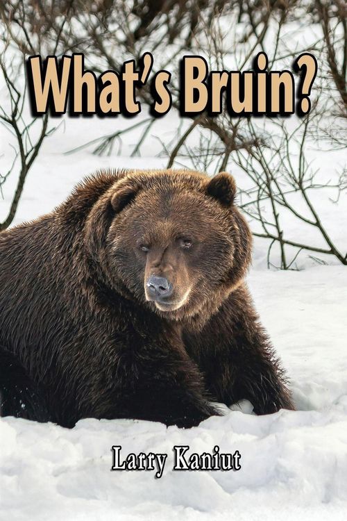 Produktbild: What's Bruin?