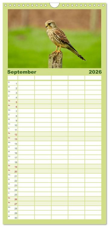 Produktbild: Familienplaner 2026 - Heimische V&ouml;gel mit 5 Spalten (Wandkalender, 21 x 45 cm) CALVENDO