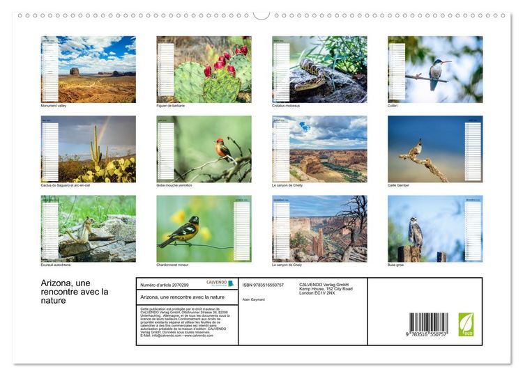 Produktbild: Arizona, une rencontre avec la nature (Calendrier mural 2026 DIN A2 vertical) calendrier de bureau