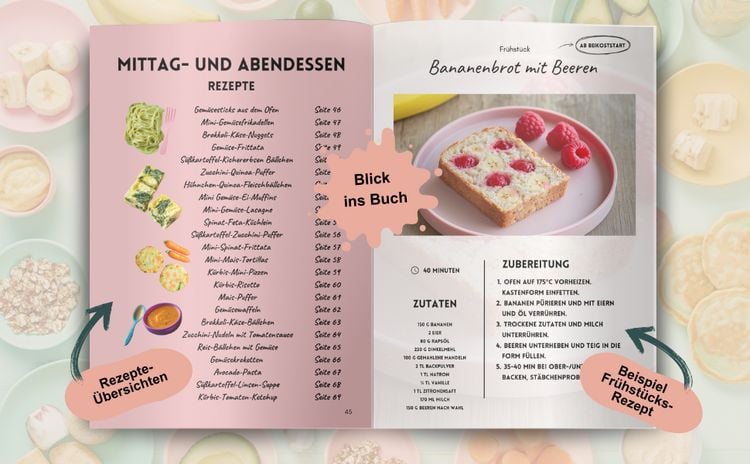 Produktbild: Gesund und selbstst&auml;ndig essen - 50 Rezepte f&uuml;r die breifreie Beikosteinf&uuml;hrung - Baby-Led Weaning Rezepte - Breifrei