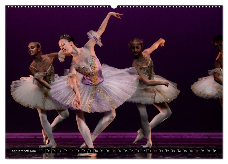 Produktbild: Vaganova, ballet imp&eacute;rial (Calendrier mural 2026 DIN A2 vertical) calendrier de bureau