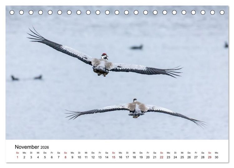 Produktbild: Kraniche im Erzgebirge (Tischkalender 2026 DIN A5 quer), CALVENDO Monatskalender