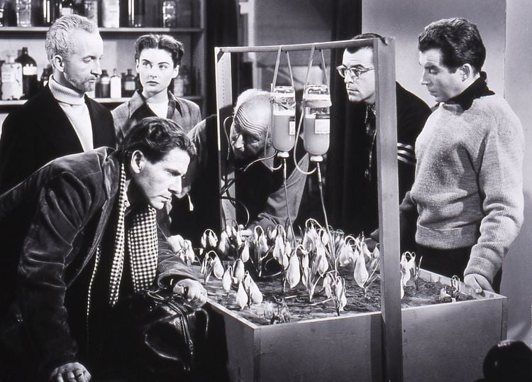 Produktbild: Das Ding aus einer anderen Welt (Filmjuwelen)