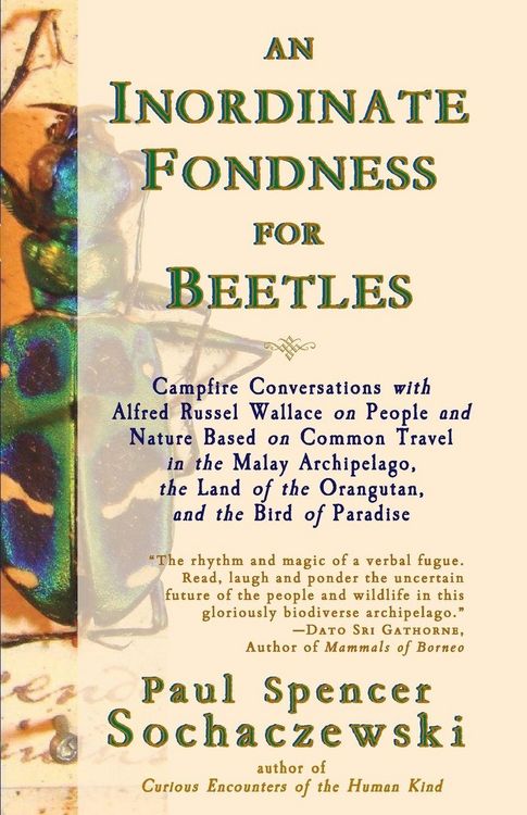 Produktbild: An Inordinate Fondness for Beetles