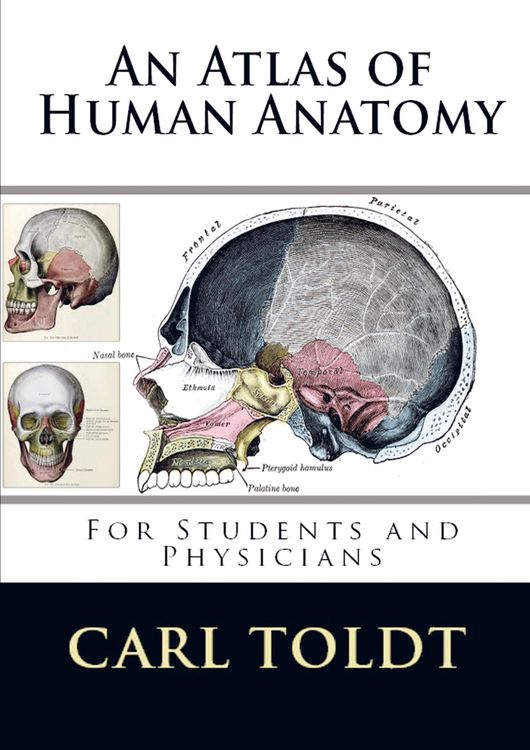 Produktbild: Carl Toldt: Atlas of Human Anatomy