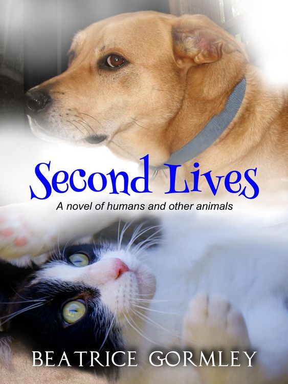 Produktbild: Second Lives