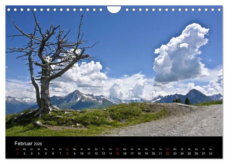 Produktbild: Baum-Variationen (Wandkalender 2026 DIN A4 quer), CALVENDO Monatskalender