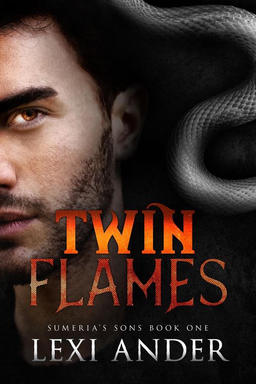 Produktbild: Twin Flames (Sumeria's Sons, #1)