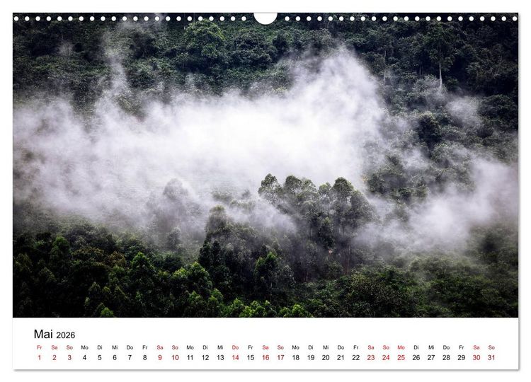 Produktbild: UGANDA - Berggorillas & Chimps (Wandkalender 2026 DIN A3 quer), CALVENDO Monatskalender