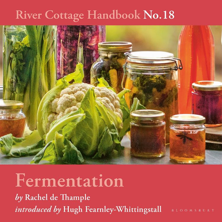 Produktbild: Fermentation